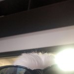 혐))아 씨 발 눈물난다