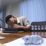 [엔하이픈] 이 구도 웃기다