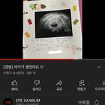 <b>산</b><b>범</b> 임신했대