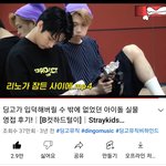 [스키즈] 하아 사랑한다  심하게