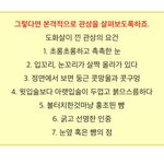 [드루와] 나 도화살 관상인데