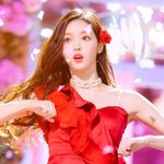 장미가 아이돌로 <b>환생</b>한 것 같음.jpg