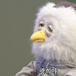 광희 극딜하는 붱철조교