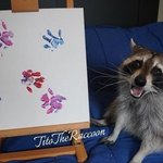 그림 그리는 <b>라쿤</b>맨