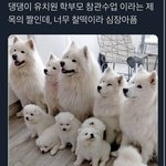 [댓글부탁해] <b>Isfp</b> 애들아.. 너네 원래 그래?