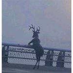 삼<b>성가</b> 딸 될 수 있다면 어떡할 거임?