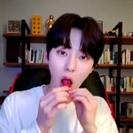 딸기 <b>두</b>손으로 들고 먹는 흔한 남<b>돌</b> .jpg