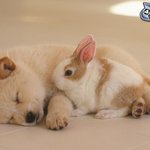 [드루와] 이걸 뭐라고 하더라