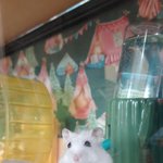 [댓글부탁해] 치킨 기프티콘 <b>줄사람</b>???