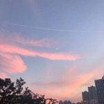 [드루와] 저희 할머니 우산 씌워주신 <b>학생분</b>들 정말 감사합니다