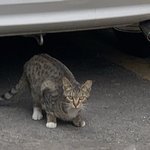 [드루와] <b>말도</b> 안 돼 내가 얘를 왜