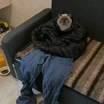 같은 과 남자애가 나 손<b>민수</b>하는거 같거든?