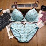 <b>90</b>년생 여친한테 잘어울릴 속옷이네