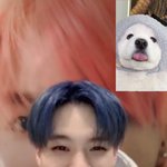 [NCT드림] 와 <b>이재</b>노 파머의 흰후드 조합은 진짜