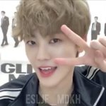 [NCT드림] <b>말티즈</b>의 인생네컷