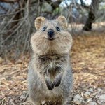 [NCT칠프] 정<b>우야</b>