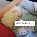 우리<b>은행</b> 쓰는애들아
