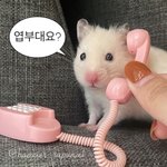 [댓글부탁해] 그룹마다 뵤 멤버 누구임??