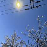 나 <b>산책</b> 나왔당ㅎ