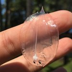 바닷속이 더 궁금해지는 심해 <b>생물</b>들