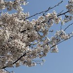 [NCT드림] <b>날씨</b> 좋넹~~~