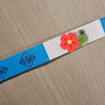 퀸덤2 <b>방청</b> 느낌