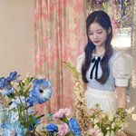 엔믹스 짜증나네
