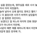 이거 너무 슬픔..