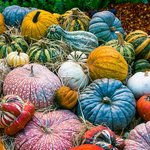 [댓글부탁해] 나 솔직히 <b>mbti</b> ㅈㄴ 좋아하는 이유가