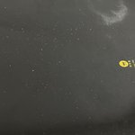 [댓글부탁해] 이거 더러워….??
