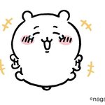 눈에서 <b>코끝</b>까지 길이가