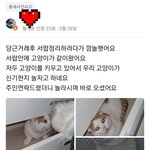 이짤 ㅈㄴ웃기고 귀엽다 ㅋㅋㅋ