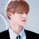 [NCT즌] <b>웜</b><b>톤</b>제노