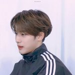 [NCT즌] 아디다스<b>윈윈</b>