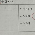 -다 는 접사가 아닌가???