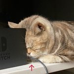 친구들이 내 <b>말버릇</b> 따라하는 거 싫음...