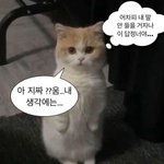 너희 그거 아냐