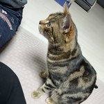 [댓글부탁해] 너넨 둘이 다니는 친구가 <b>장문</b>으로 같이 못 다닐거...