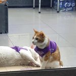 [댓글부탁해] 보통 <b>연장</b> 하러갈때
