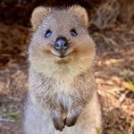 레즈 썰 풀어줘