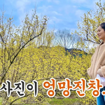 연정훈이 찍은 한가인 사진 찾기