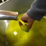 좋은 올리브오일 고르는 방법 3. 올리브오일의 컬러 (Green)