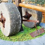 좋은 올리브오일 고르는 방법 4. 원산지를 확인하세요