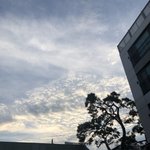 [드루와] 나 수능끝나면 하고싶은게 넘 많음