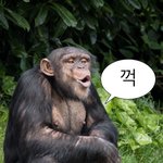마라탕 이거 완전 다이어트음식이네
