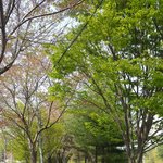 [스키즈] 스키즈 수록곡들 <b>보물</b>이다~