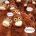 코로나 검사하면 신속항원검사부터 하고 <b>피씨</b>알 함??