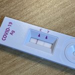 얘들아이거<b>양성</b>이냐..?