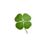 나 <b>전판</b>녀는