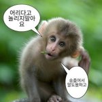 나 헤어지고 프뮤 휘인 헤어지자 했었음ㅋㅋㅋㅋㅋㅋ